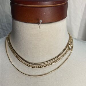 Paparazzi Gold Layered Necklace with Chain Earrings and Extra Earrings